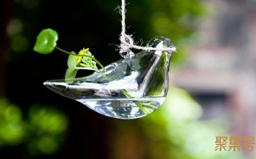 oppor11摄像头怎么用(oppor11摄像头像素)