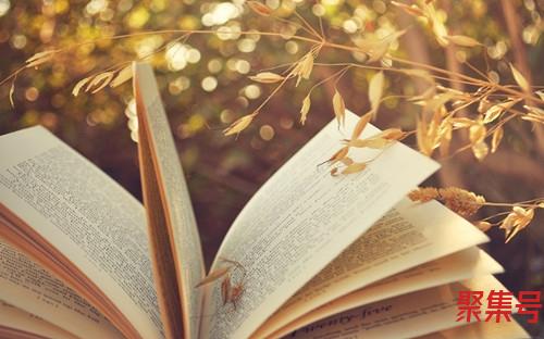 冷藏是冰箱的哪一层(冷藏和冷冻的区别)