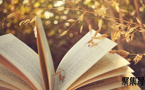 m和l哪个大(衣服m号和l号哪个大)