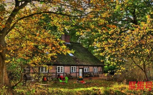 春字结构(春字结构解说)