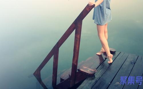 番茄牛腩怎么做(番茄牛腩的家常做法)