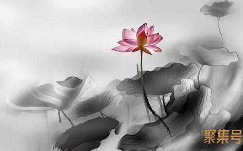 欧吃矛是什么意思(吃矛)