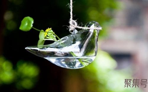 千层肚煮多久(千层肚煮多久可以吃)