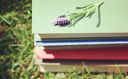 系统文件损坏怎么修复(系统文件损坏怎么修复win7)