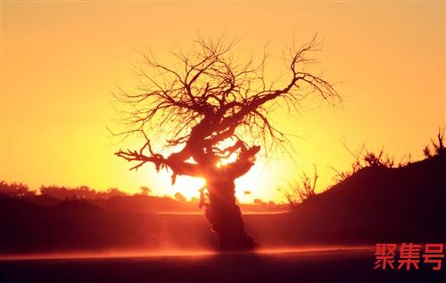 cad字体在哪个文件夹里(cad大字体文件放在哪里)