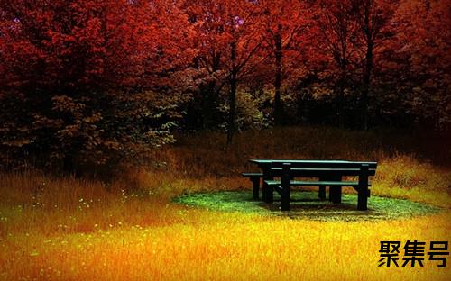 台式电脑网线怎么插(台式电脑网线怎么插路由器)