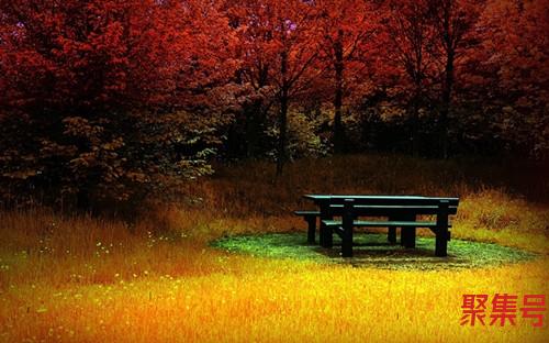 黄鹤楼在哪个城市(黄鹤楼位于湖北的哪个城市)