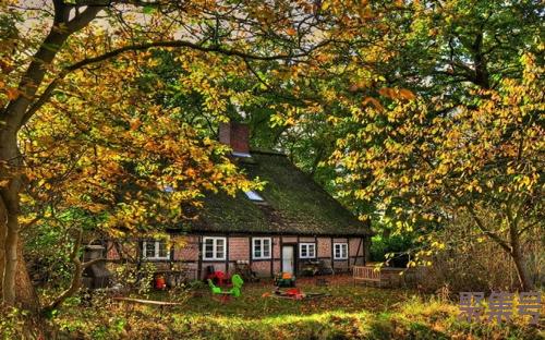 篮球框直径(篮球的直径是多少厘米)