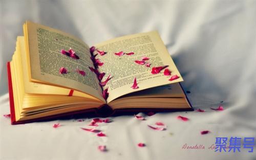 漂泊反义词(漂泊的近义词是什么)