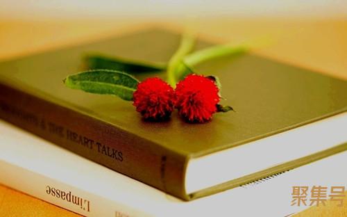 8寸照片是多少厘米(8寸相册有多大实物)