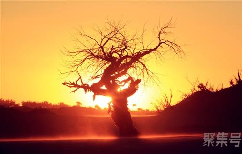 尊敬的看是什么词语(尊敬地看是什么词语)