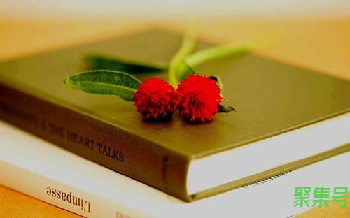 共晶反应(共晶反应三相成分)