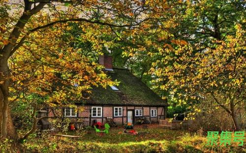 高是什么结构(告是什么结构)