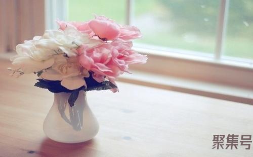 八的因数有哪些(八的因数有哪些从小到大)