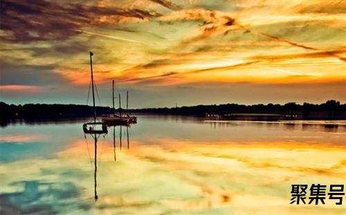 人体自由基是什么(人体自由基是什么是视频)