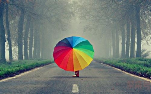 会计专硕满分多少(会计专硕考研满分)