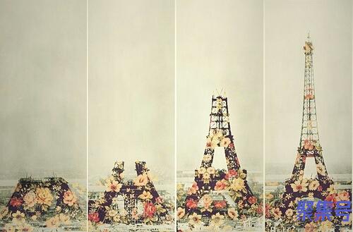 哪个物流可以托运宠物(宠物狗托运物流公司)