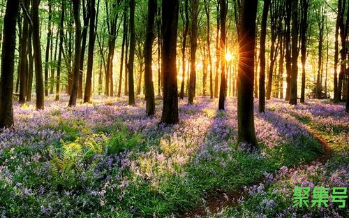 什么是脱脂牛奶(什么是脱脂牛奶有哪些)