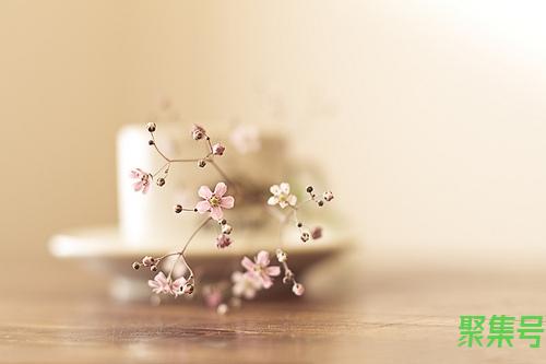 伊丽莎白一世和二世是什么关系(伊丽莎白女王一世)