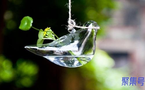 钮扣还是纽扣(钮扣还是纽扣语文课外知识)