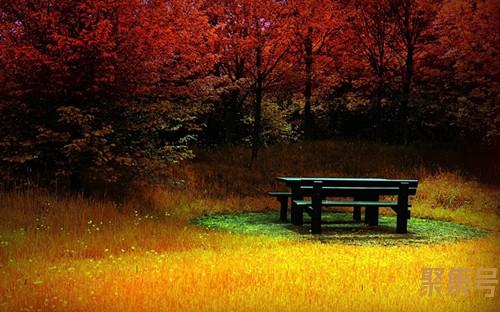 祥子是一个怎样的人(骆驼祥子是一个怎样的人)