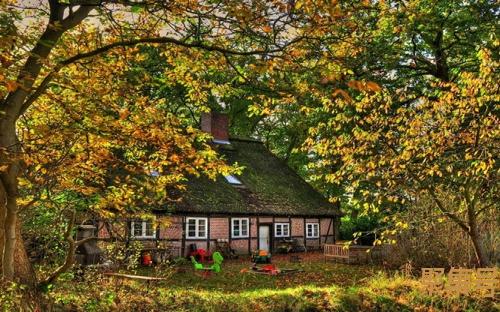 导游打一成语(导游打一成语答案)