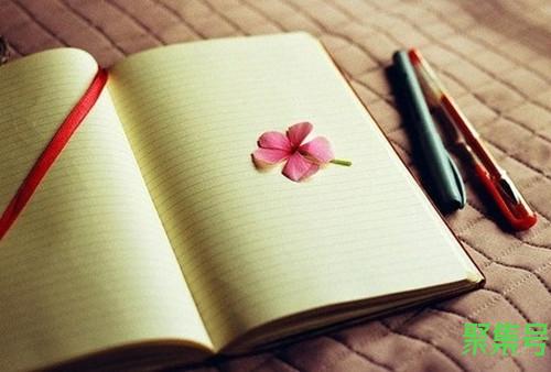 澳龙(澳龙和波龙的区别是什么)