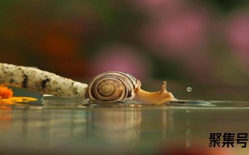 田馥甄怎么读(田馥甄怎么拼音)