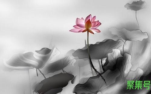 怎么取机票(身份证丢了怎么取机票)