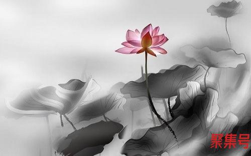 4寸照片多大(4寸照片多大看图)