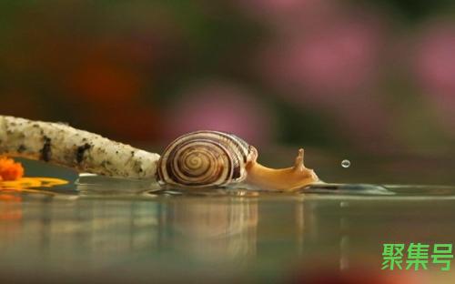 付款码怎么设置密码(支付宝付款码不用密码)