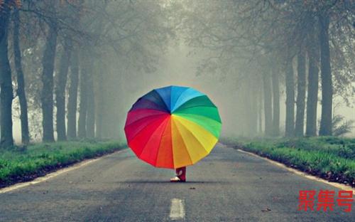 燕窝是什么(燕窝是什么东西)