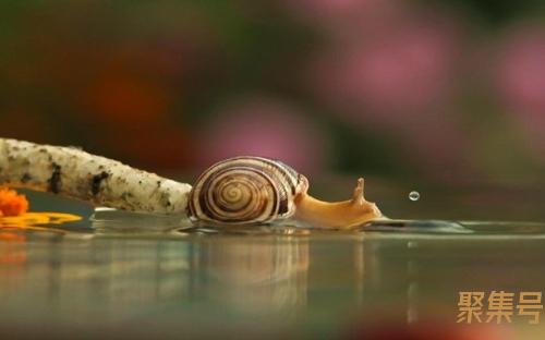 32开是A4的一半吗(32开的纸是多大的尺寸)