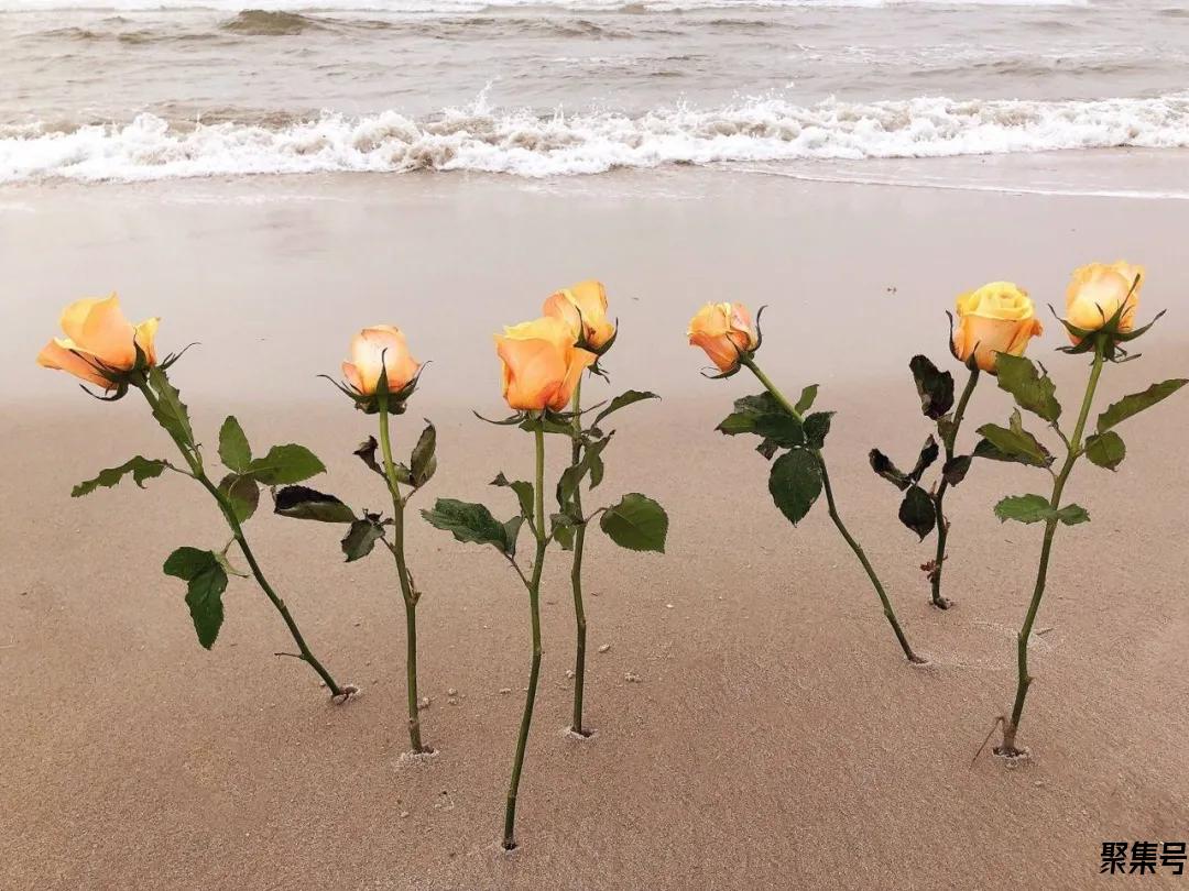 雨后小故事(要下雨了的故事)