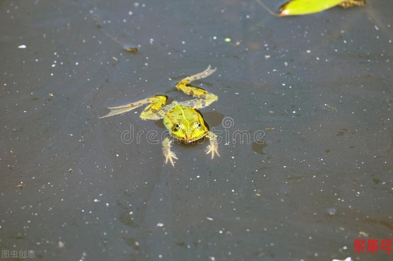 太准了!老祖宗预测天气的谚语,有什么科学道理?