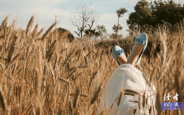 句句深入人心经典句子伤感(表达内心感动的句子简短)