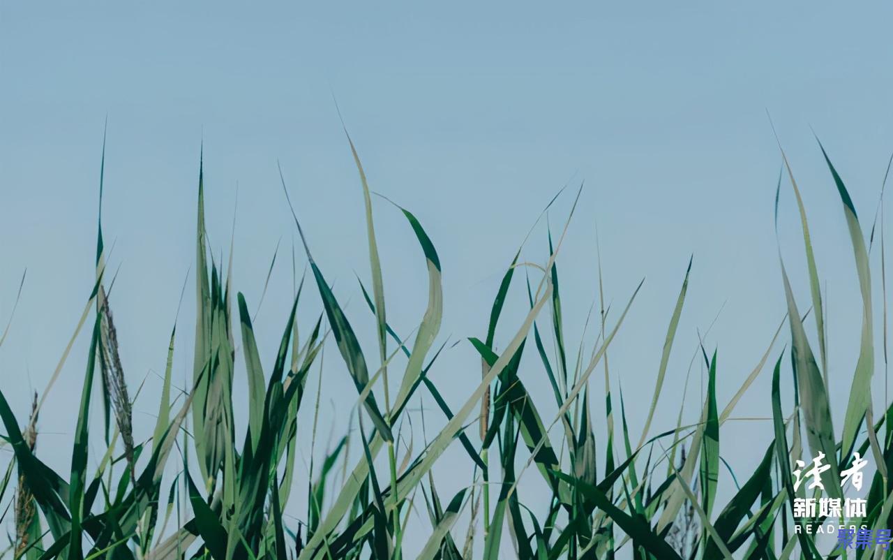 搞笑幽默短句(幽默短语短句经典)