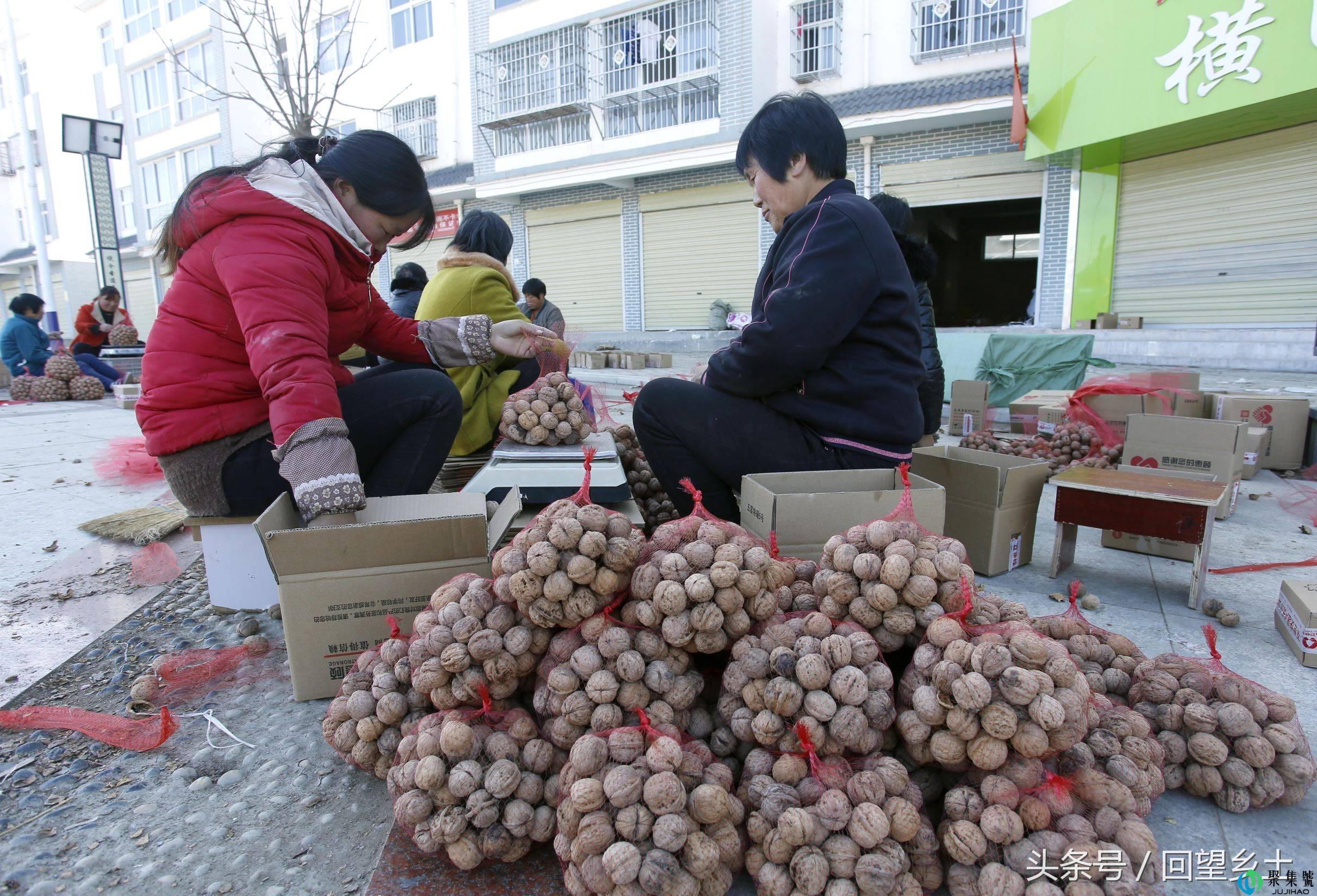 农民网上卖核桃一箱装一公斤 每箱免费配装一个核桃夹子方便实惠