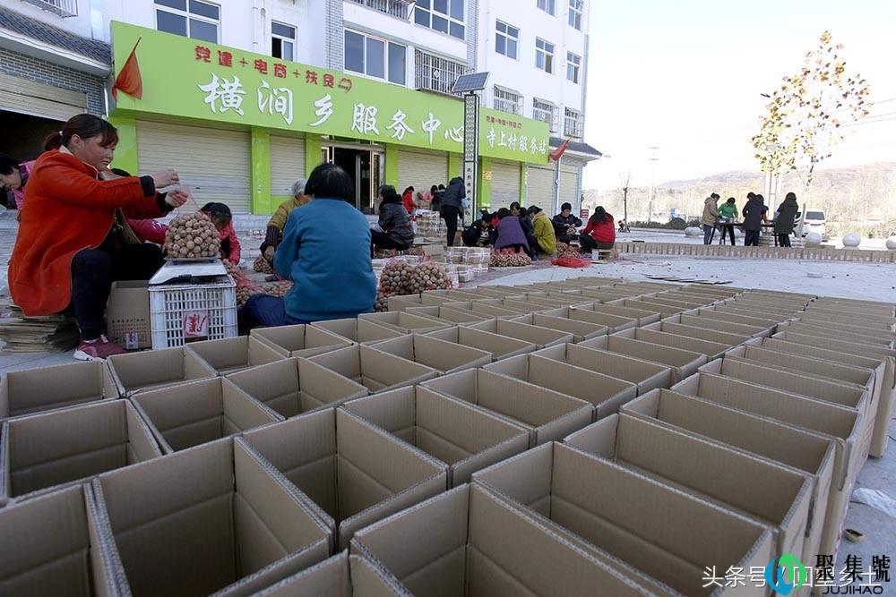 农民网上卖核桃一箱装一公斤 每箱免费配装一个核桃夹子方便实惠
