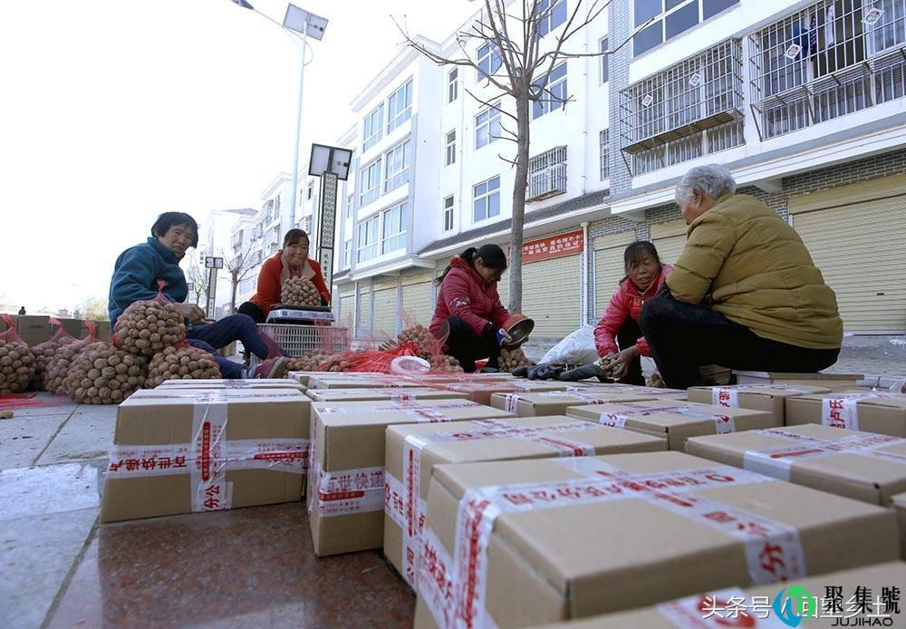 农民网上卖核桃一箱装一公斤 每箱免费配装一个核桃夹子方便实惠