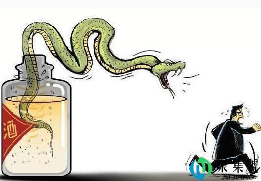 酒变成蛇的洗澡水?毒蛇泡酒一年,开瓶窜出咬人,为什么还没死?