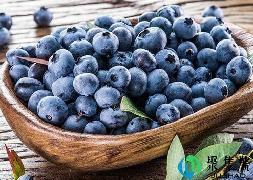 草莓蓝莓能一起吃吗 草莓蓝莓营养价值谁高