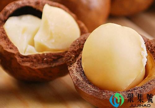 夏威夷果怎么吃 可以给宠物吃吗