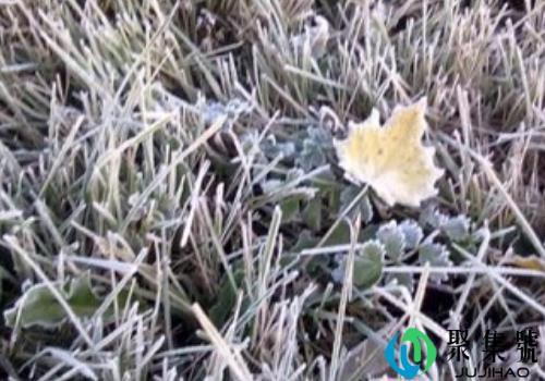 什么时候是霜降(霜降的气温一般多少度)