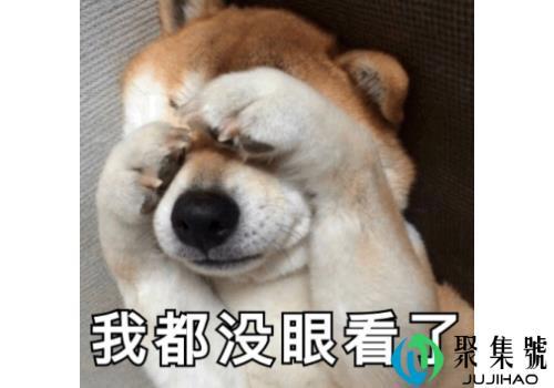 菜鸡是什么意思 被别人说菜鸡该怎么幽默回复