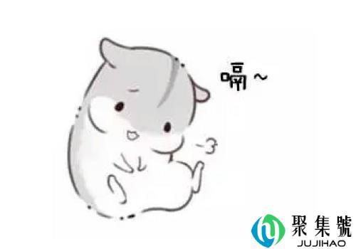 码了码了是什么梗(码字是什么梗)