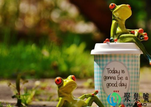 自闭症的世界(自闭症患者的世界是什么样的)