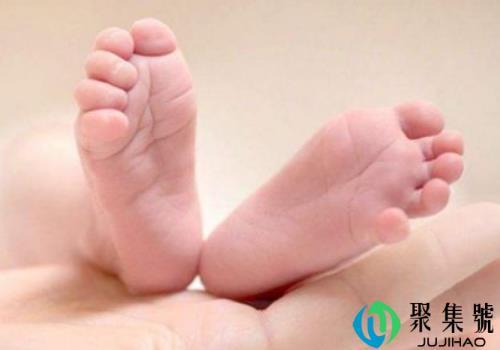 2019年属猪几月旺父母 猪宝宝几点出生最好