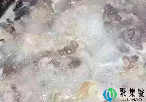 煮肉时的泡沫是什么 怎么办