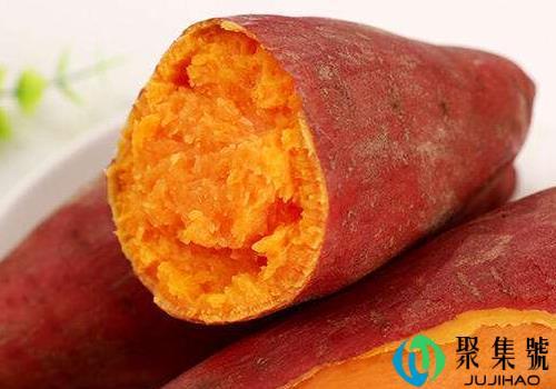 蜜薯的营养价值 是转基因吗